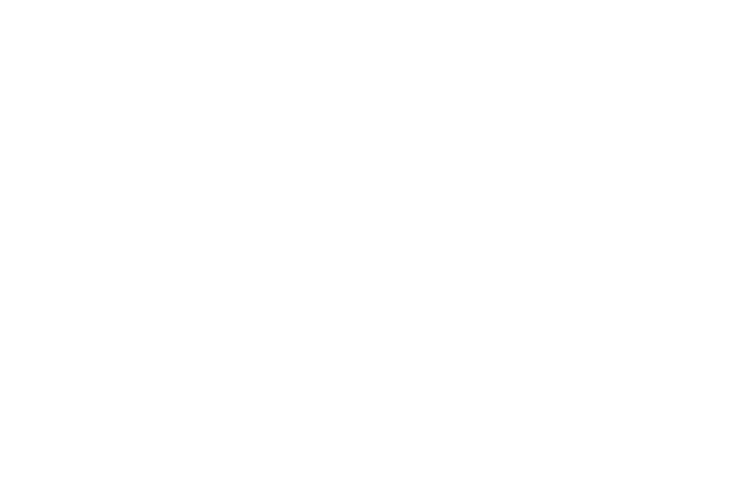 Autentic